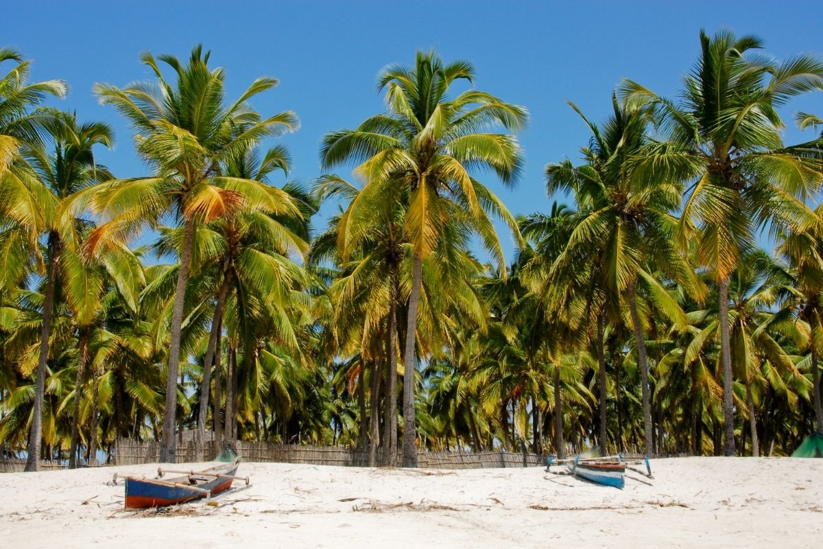 Mozambique EOR