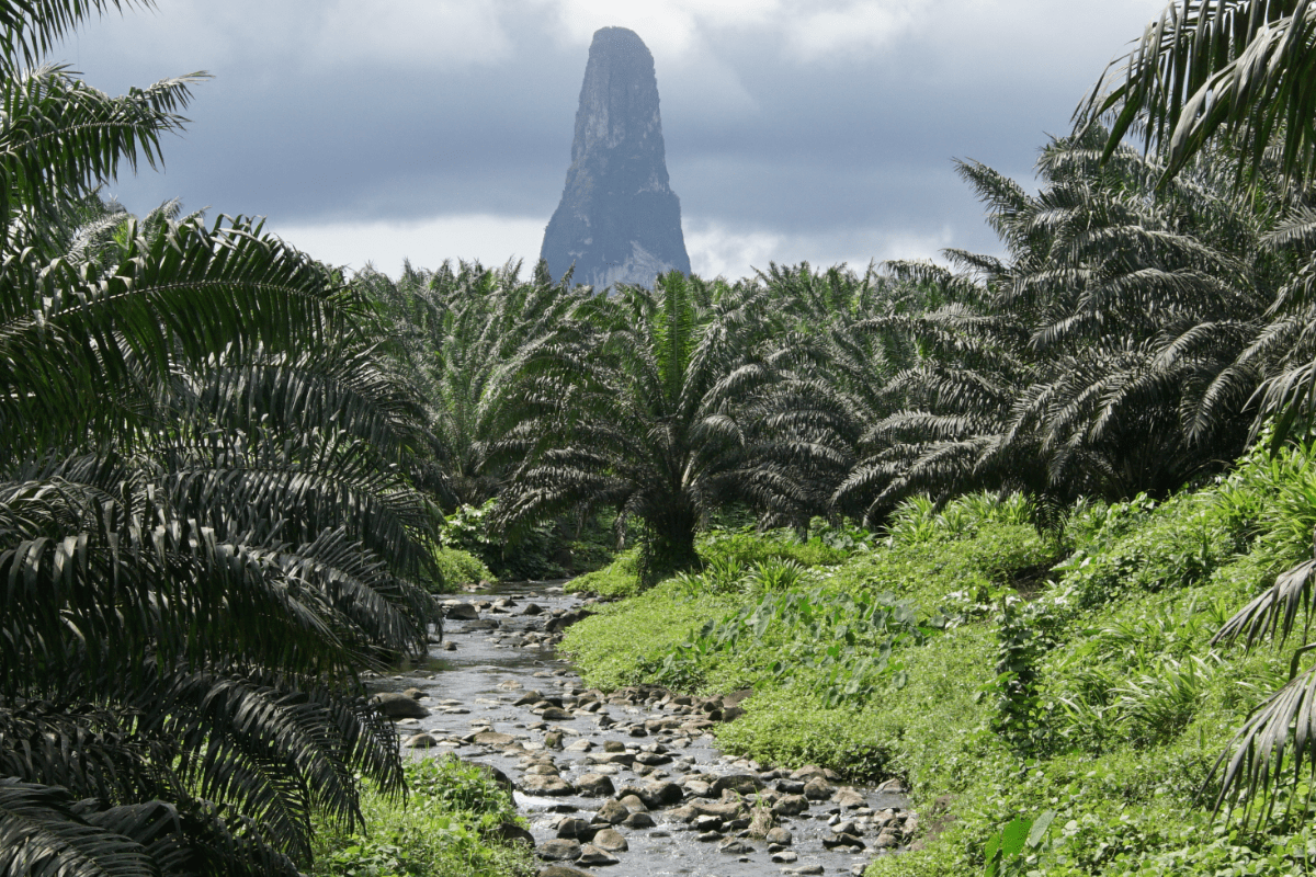 Sao Tome and Principe EOR